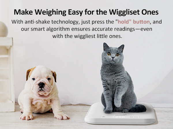 pet scale