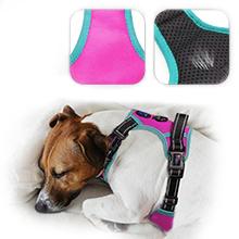 2019 dog harness