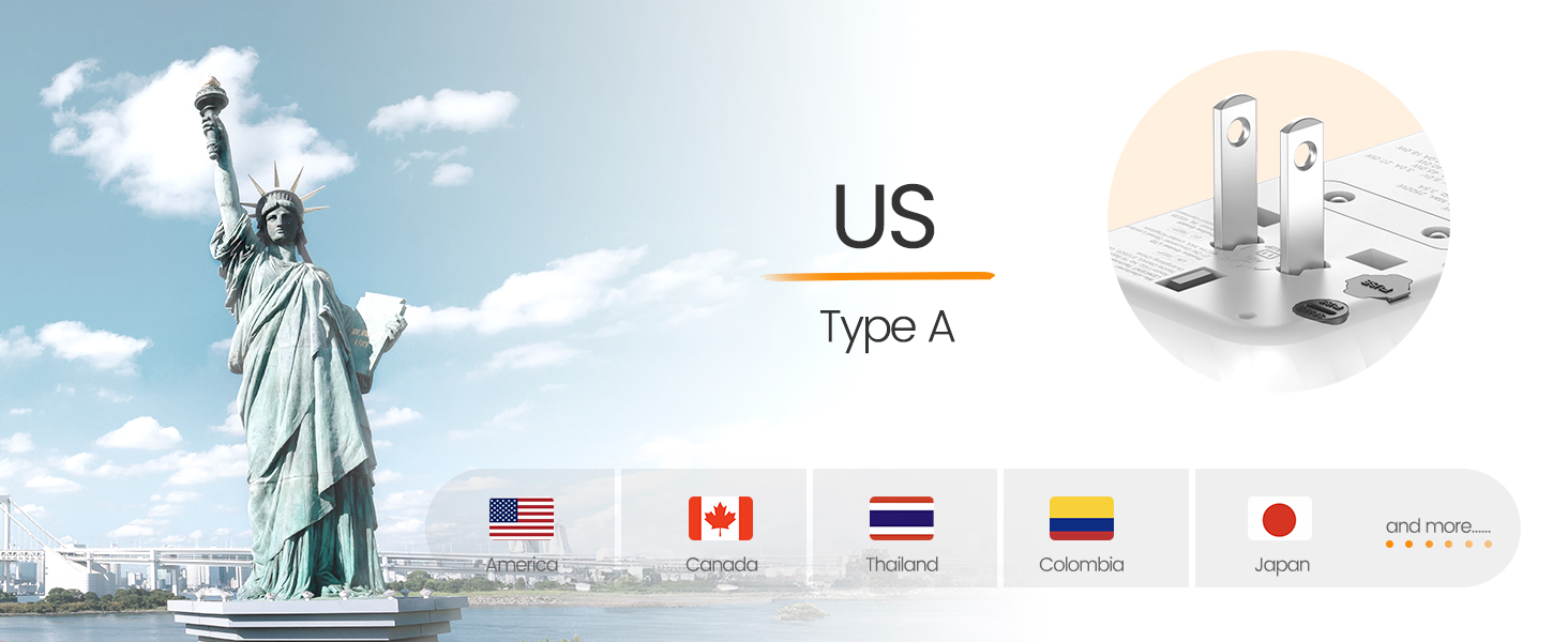 Type A - USA/Japan