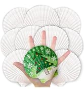 20PCS Large Scallop Shells for Crafts, 4-5 Inch Natural Sea Shells for Decorating, White Seashell...