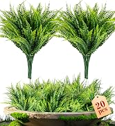 fake fern