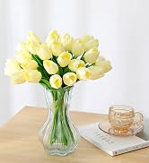 beige tulips