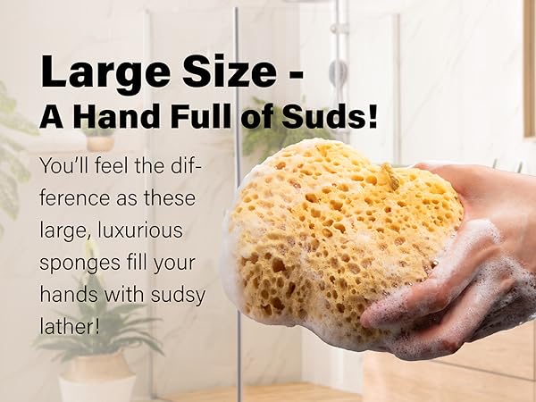 BPPC024-036 Foam Sea Sponge Square