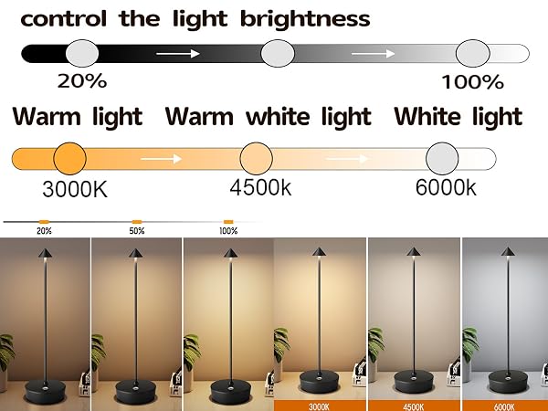 Cordless Table Lamp