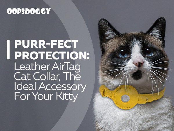 kitten collars spring cat collar puppies supplies cat bell pet airtag airtag watch collar dog
