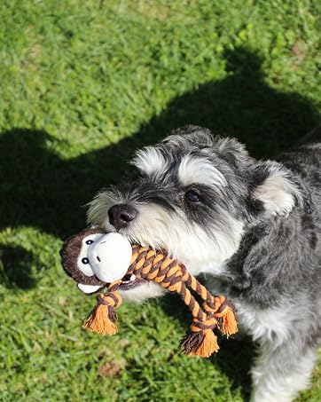 hugeme rope dog toys