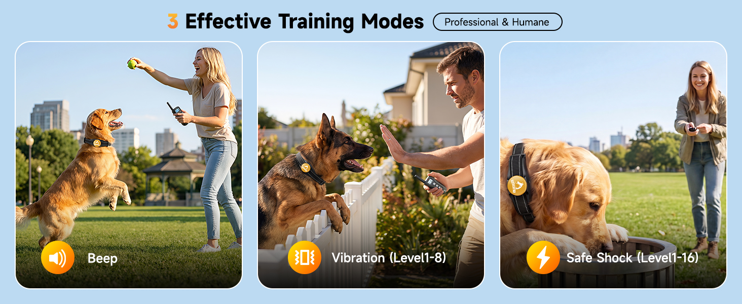 trainning collar