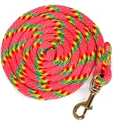 Jeffers Equine Nylon Horse Lead Rope, 5/8" x 8', Pink - Heavy Duty, Durable Nylon Rope with Bolt ...