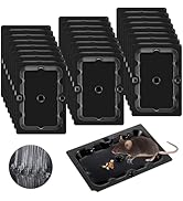 Qualirey 24 Pack Mouse and Insect Glue Traps, Strong Sticky Mice Traps Indoor for Home, Pre Scent...