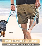 2 handles dog leash