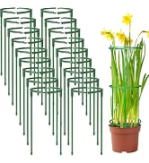 36Packs Plant Support Stake Half Round Plant Support for Indoor Plants, Stackable 3 Tier Garden F...