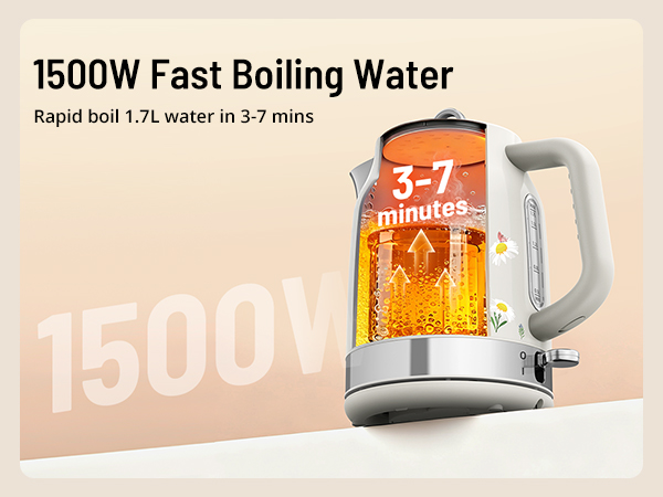 electric kettle