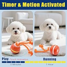 Timer & Motion Activated