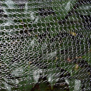 wire cloth