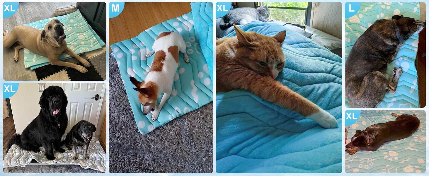 cooling mat for large dogs