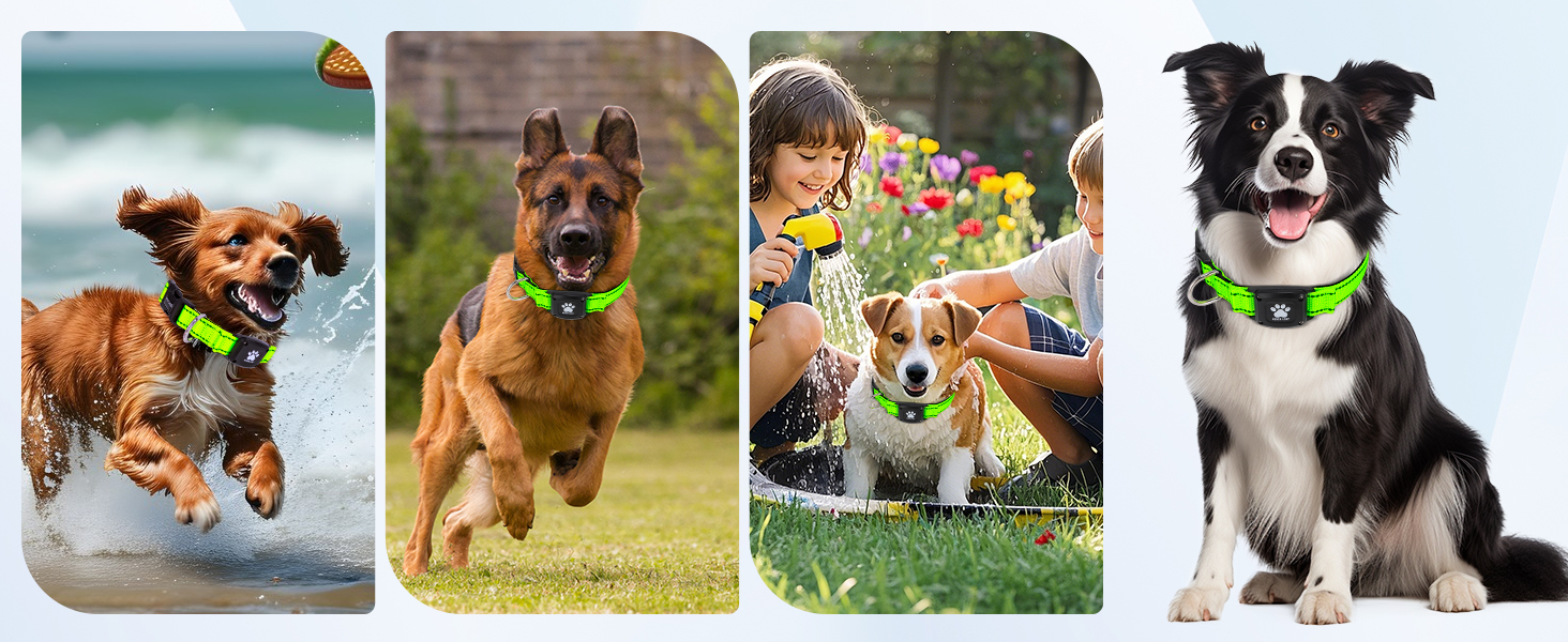 MYIWB Dog Tracking Collar for All Breeds, Waterproof, Durable, Multi-Scene Use