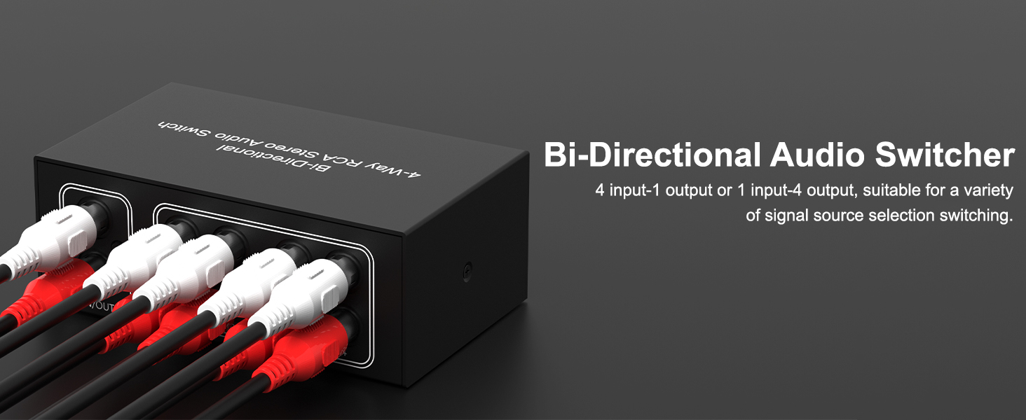 Audio Switch