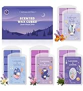 STRN Wax Melts, Lavender Scented Wax Melt for Wax Warmers, 4 Scents of Lavender & Amber, Vanilla,...