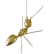 Pasiir Gold Ant Figurine Home Decor, Solid Metal Ant Centerpiece Decoration, Mini Insect Ornament...