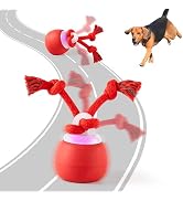 Potaroma Interactive Dog Ball Toys Touch Activated, Rechargeable, Squeaky Dog Toy, Moving Wicked ...