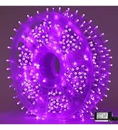 QITONG 165ft 500 LED Purple String Lights Outdoor, Clear Wire Christmas Lights with 8 Modes, Twin...
