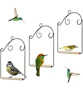 winemana Set of 3 Hummingbird Swings, Rust Resistant Metal Frame, Wooden Dowel, Attach to Bird Fe...
