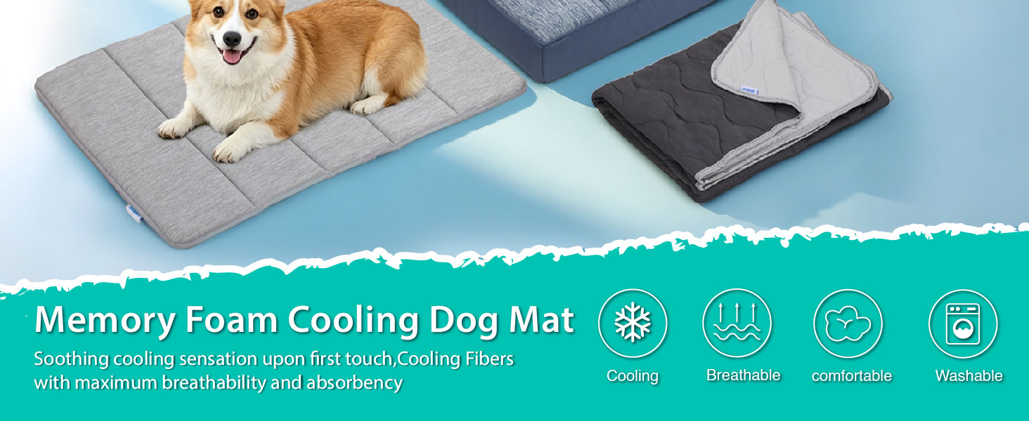 dog bed for crate