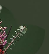 Reed Diffuser