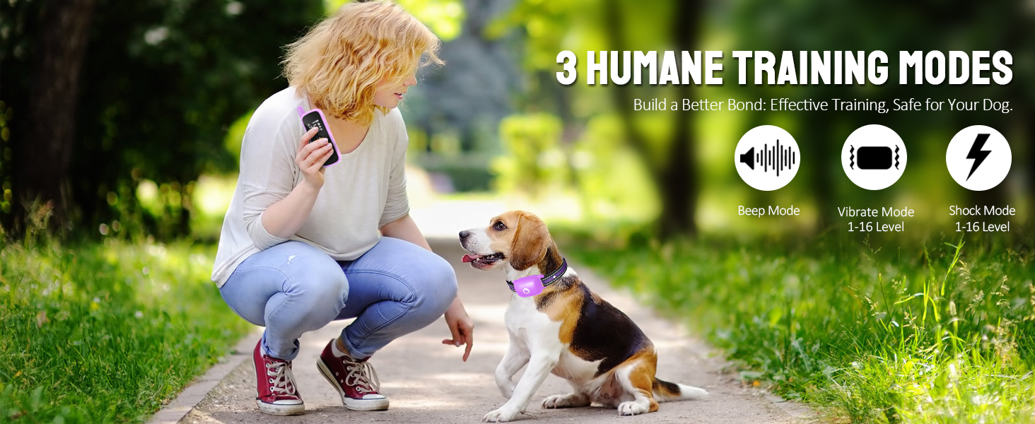 dog training collar