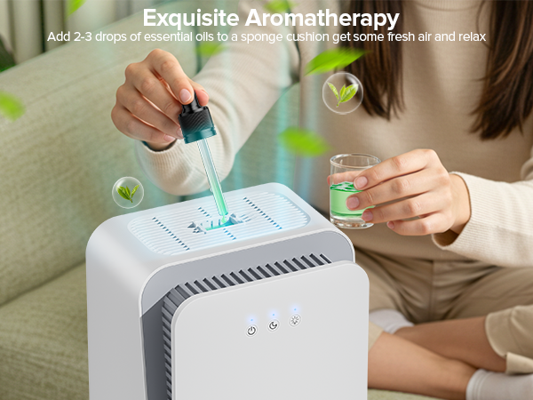 dehumidifiers
