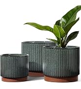 LE TAUCI Ceramic Plant Pots with Drainage Holes, Set of 3, 8+6.7+5.5 Inch Stripe Garden Planter P...