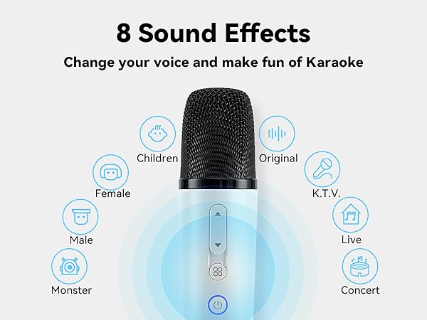tesla car karaoke microphone for model y