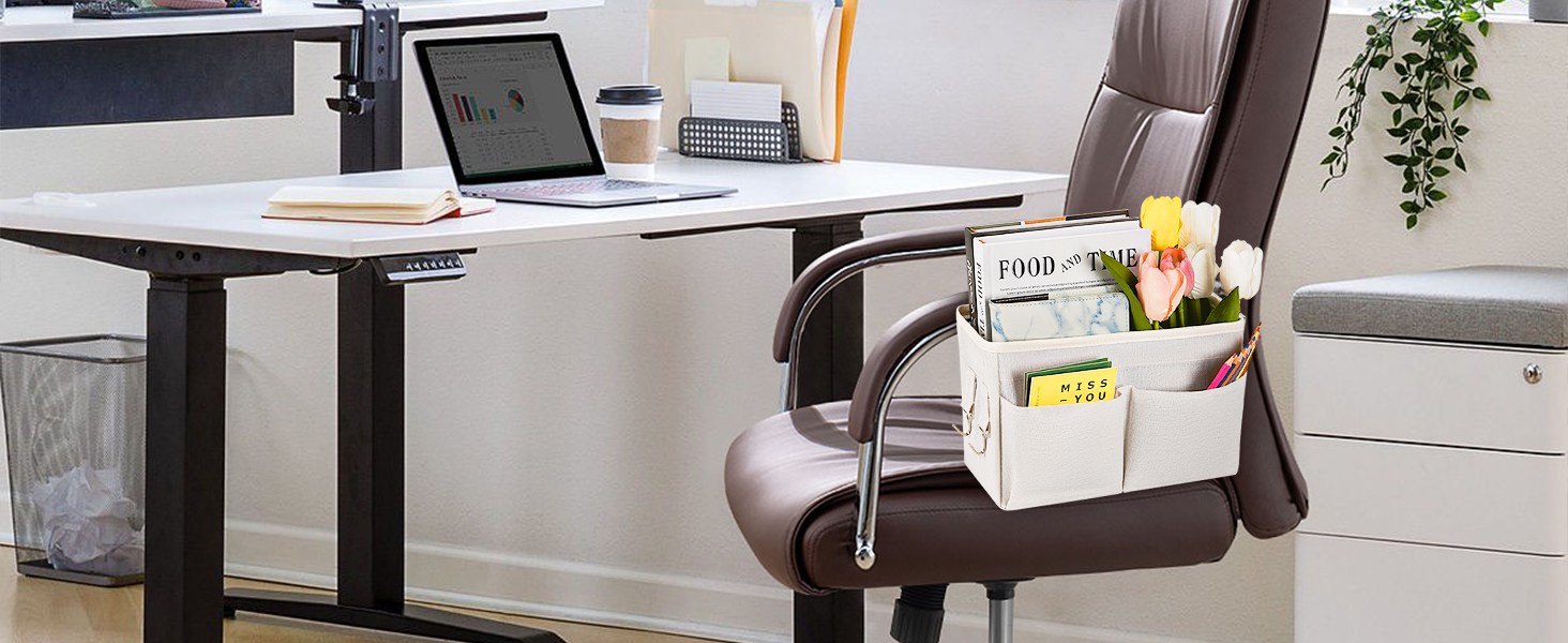 Organizer Caddy for Storage