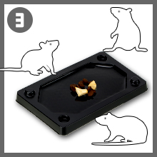 4.3