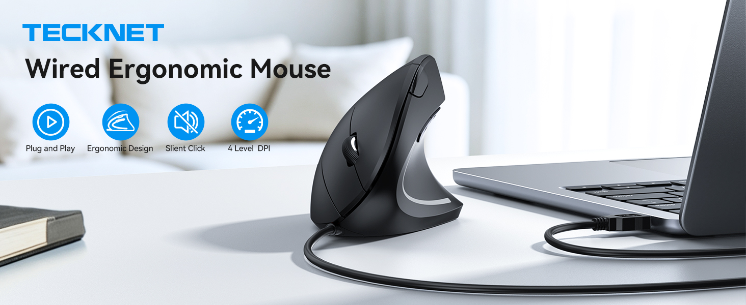mouse