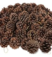 50 Pack Pine Cones, 1.96 Inches Natural Pinecone Ornaments, Pine Cones for Crafts, Rustic Pinecon...