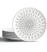 AYFDISHS 10-Inch Dinner Plates Set of 6, Black and White Grid Ceramic Plates, Large Checkerboard ...