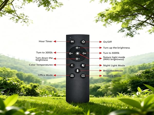 Remote control light bulb