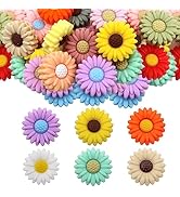 TOAOB 20pcs Silicone Beads for Jewelry Making 30mm Daisy Flower Shaped Silicone Beads Bulk Colorf...