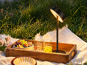 picnic