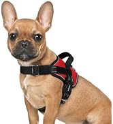 rabbitgoo Dog Harness for Small, Easy On Pet Vest with One Buckle, No Pull Adjustable Service Har...