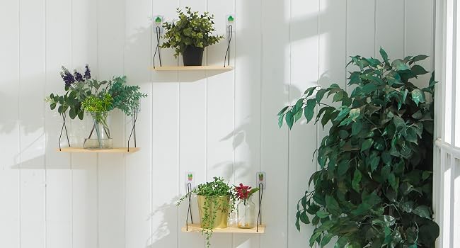 plant shelf