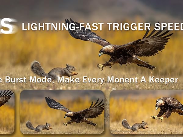 cellular deer cameras