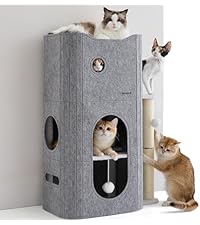https://m.media-amazon.com/images/I/41xCh-ncrLL.__AC_SR200,225___.jpg