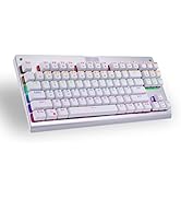 Granvela MechanicalEagle Z-77 75% Mechanical Keyboard | Aluminium Panel | Clicky Blue Switches | ...