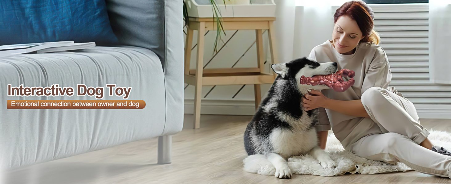 dog toys