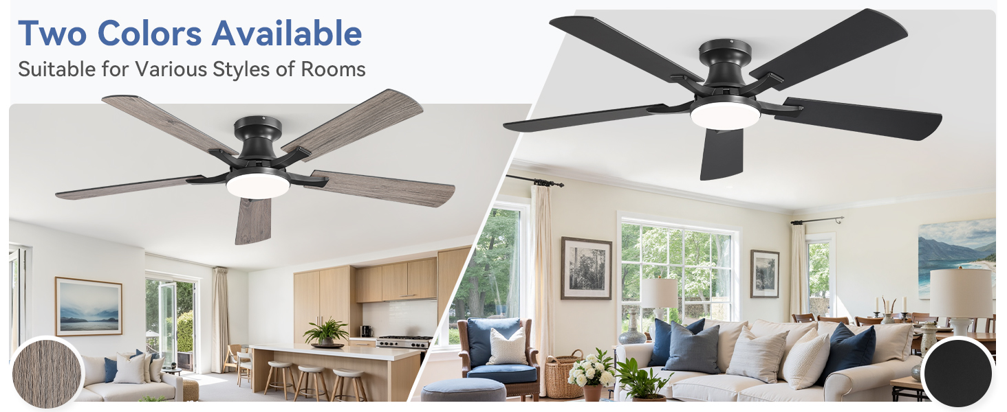 ceiling fan