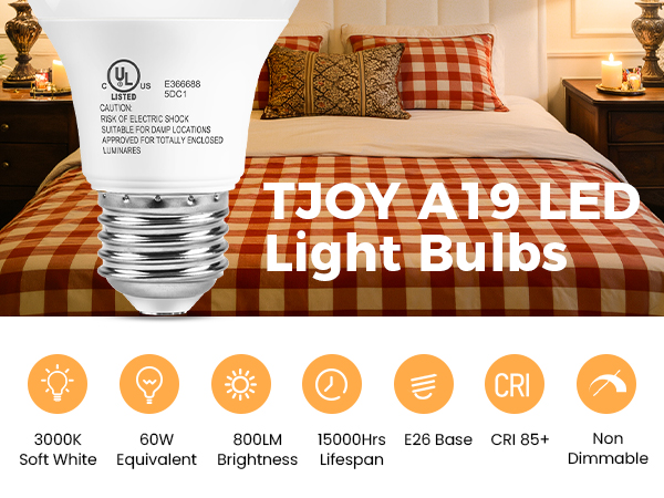 light bulb warm