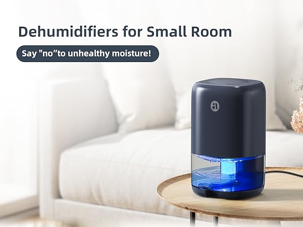 dehumidifier