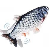 Floppy Fish Cat Toy